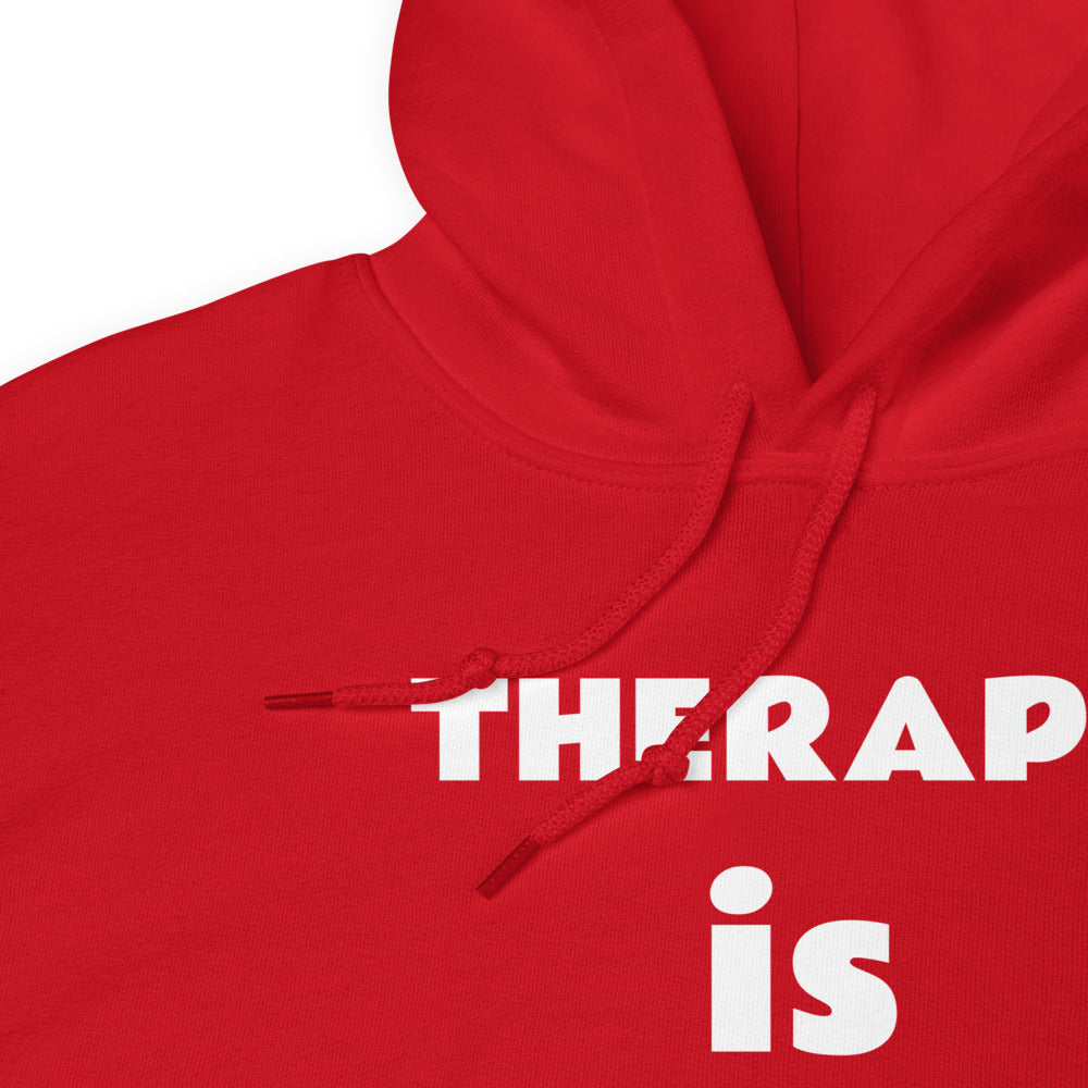 Therapy is cool unisex Hoodie